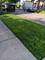 1443 S Karlov, Chicago, IL 60623