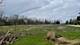 1601 Higgins, Sleepy Hollow, IL 60118