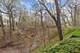 456 Gurney, Lake Bluff, IL 60044