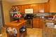1411 Laurel Oaks, Streamwood, IL 60107