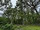 910 N Brainard, La Grange Park, IL 60526