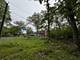 910 N Brainard, La Grange Park, IL 60526