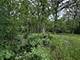 910 N Brainard, La Grange Park, IL 60526