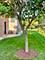 2112 N Sawyer Unit I, Chicago, IL 60647