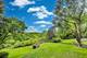 713 Mohican, Lake In The Hills, IL 60156