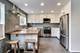 801 S Plymouth Unit S, Chicago, IL 60605