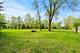 435 S State, Manhattan, IL 60442