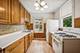 1016 S Mayfield, Chicago, IL 60644