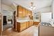 1016 S Mayfield, Chicago, IL 60644