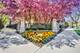 1455 S Halsted, Chicago, IL 60607