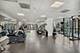 1122 N Clark Unit 2003, Chicago, IL 60610