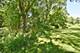 5N850 Ravine, St. Charles, IL 60175