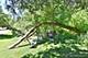 5N850 Ravine, St. Charles, IL 60175