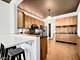 213 S Ashland, La Grange, IL 60525