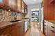 88 W Schiller Unit 404L, Chicago, IL 60610