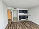 7234 W North Unit 1103, Elmwood Park, IL 60707