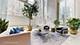 505 N Mcclurg Unit 4405, Chicago, IL 60611