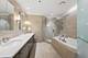 401 N Wabash Unit 57F, Chicago, IL 60611