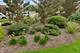 4840 S Indiana, Chicago, IL 60615