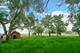 3355 202nd, Lynwood, IL 60411