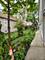 10749 S Avenue J, Chicago, IL 60617