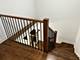 4843 W Schubert, Chicago, IL 60639