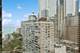 100 E Bellevue Unit 22C, Chicago, IL 60611