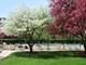 1260 N Western Unit 306, Lake Forest, IL 60045
