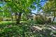 923 N Grove, Oak Park, IL 60302