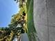 434 Ingleside, Aurora, IL 60506