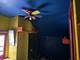 3606 Emerald, Steger, IL 60475