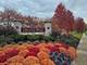 27025 Ashgate, Plainfield, IL 60585