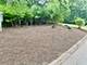 705 Harper, Algonquin, IL 60102