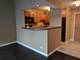 211 E Ohio Unit 523, Chicago, IL 60611