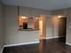 211 E Ohio Unit 523, Chicago, IL 60611
