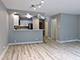211 E Ohio Unit 1023, Chicago, IL 60611