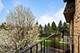 15724 Brassie Unit 2N, Orland Park, IL 60462