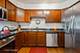 1817 W Touhy Unit 3, Chicago, IL 60626