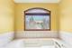 679 Gibbons, New Lenox, IL 60451