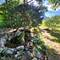 1828 E Lincoln, Des Plaines, IL 60018