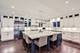 1955 N Halsted Unit 1, Chicago, IL 60614