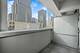 240 E Illinois Unit 307, Chicago, IL 60611