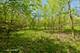 561 South, South Elgin, IL 60177