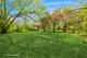 561 South, South Elgin, IL 60177
