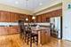 12116 Winterberry, Plainfield, IL 60585