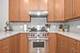 679 N Peoria Unit 2N, Chicago, IL 60642