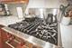 679 N Peoria Unit 2N, Chicago, IL 60642