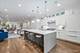 3414 N Seminary Unit 1, Chicago, IL 60657