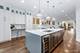 3414 N Seminary Unit 1, Chicago, IL 60657