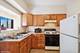 1521 E 65th, Chicago, IL 60637